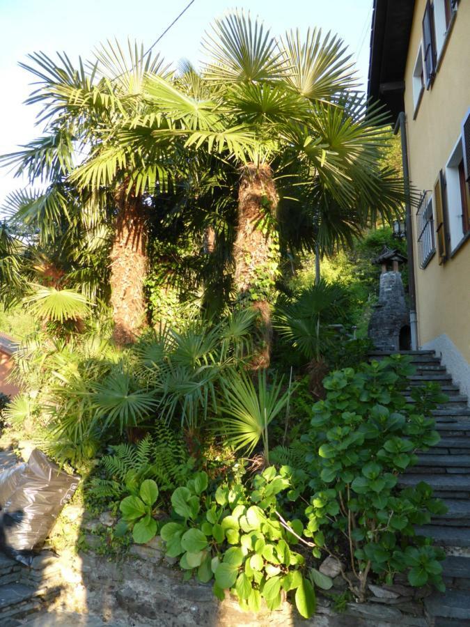 Apartament Casa Petra 1 1/2 Zi, Orgnana 83 Gambarogno Zewnętrze zdjęcie