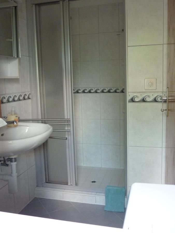 Apartament Casa Petra 1 1/2 Zi, Orgnana 83 Gambarogno Zewnętrze zdjęcie