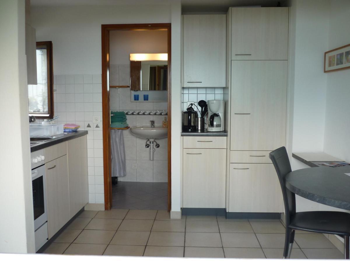 Apartament Casa Petra 1 1/2 Zi, Orgnana 83 Gambarogno Zewnętrze zdjęcie